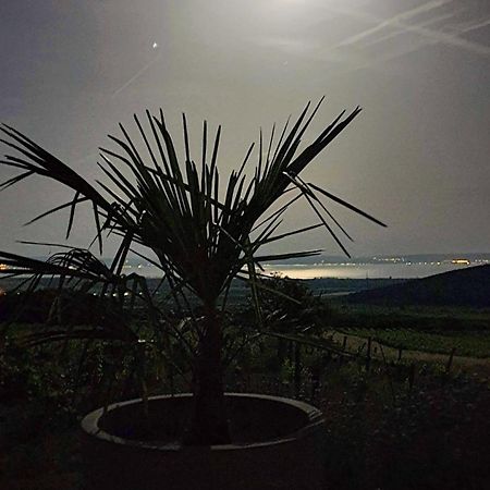Dörgicse Panorama, Balaton 빌라 외부 사진
